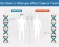 How do Genes Affect the Cancer Growth?