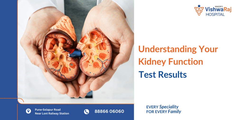 Understanding Your Kidney Function Test Results