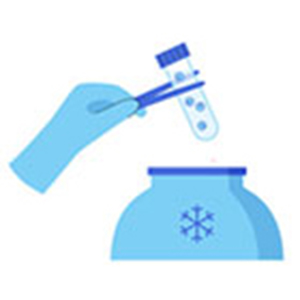 Embryo Cryopreservation
