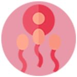 No Sperm Count