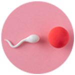Ovulation Problem