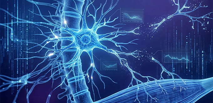 VRH Amyotrophic Lateral Sclerosis Inner
