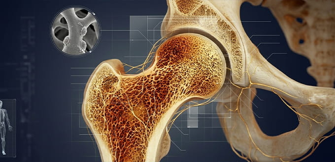 VRH Bone Marrow Transplant Inner