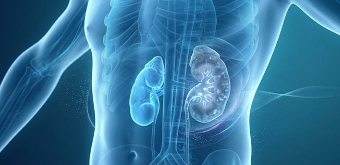 VRH Chronic Kidney Disease Inner