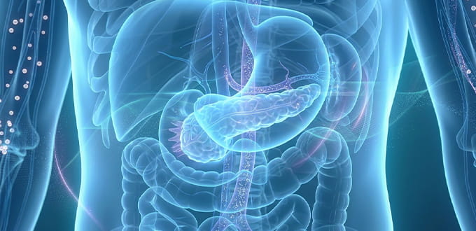 VRH Diabetes Mellitus Inner