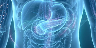 VRH Diabetes Mellitus Outer