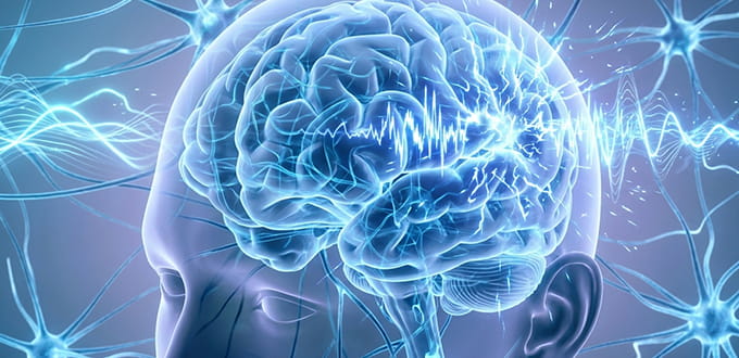 VRH Epilepsy Inner
