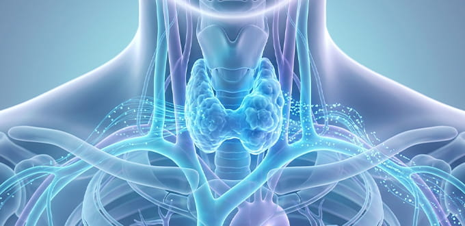 VRH Thyroid Disorders Inner